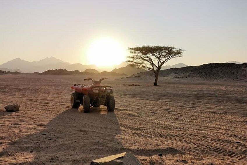 3 Hours Safari by Quad Bike - Hurghada