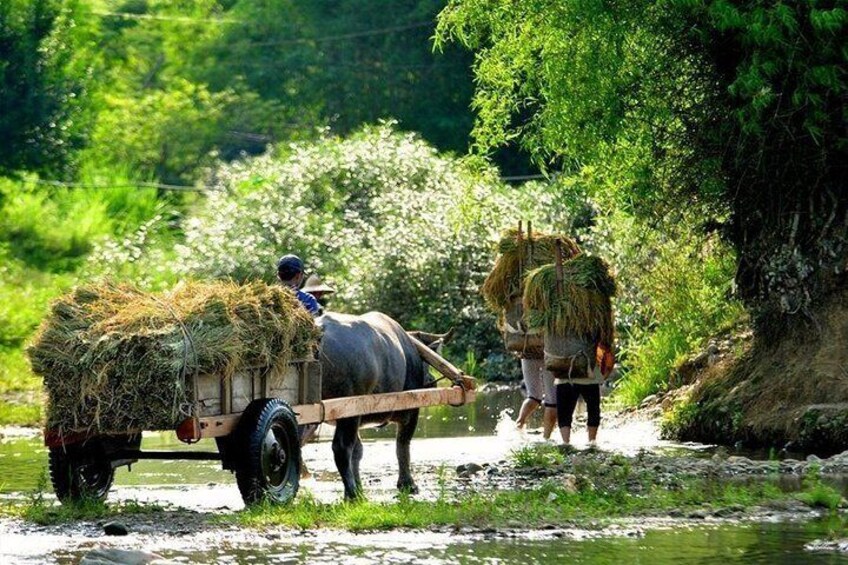 Mai Chau Pu Luong 2 Days 1 Night from Hanoi