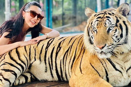 Phuket City Tour with Tiger Experience (Best Seller)