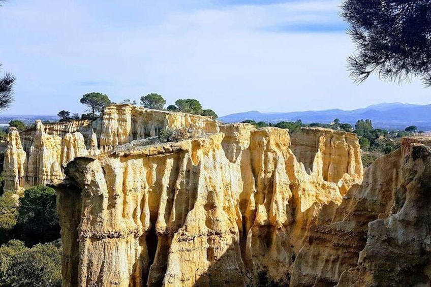 Wild Organs: Grand Landscape, Plants, Geology, Birdsongs