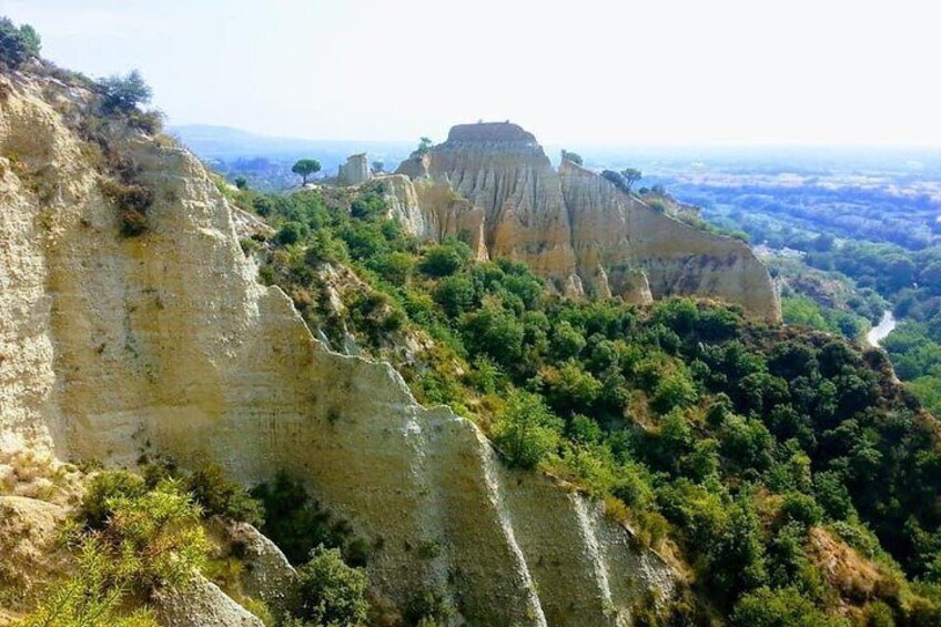 Wild Organs: Grand Landscape, Plants, Geology, Birdsongs