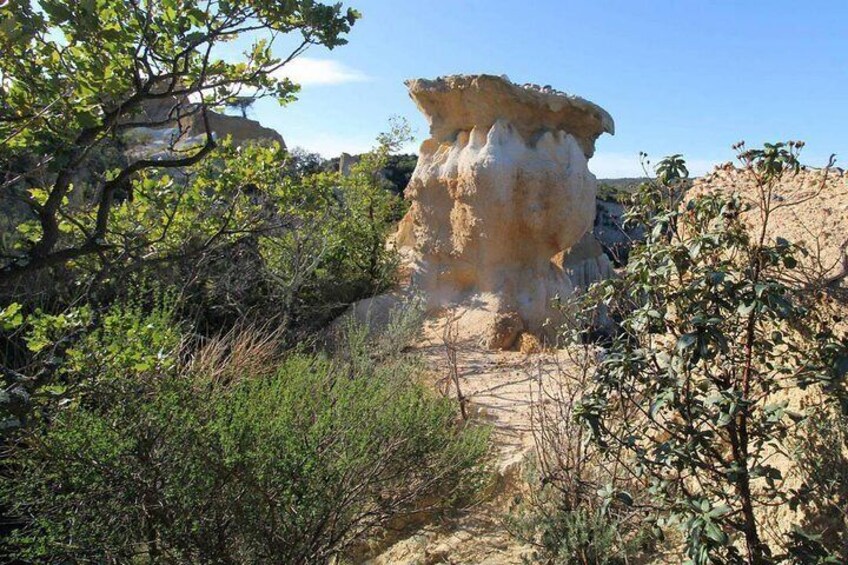 Wild Organs: Grand Landscape, Plants, Geology, Birdsongs