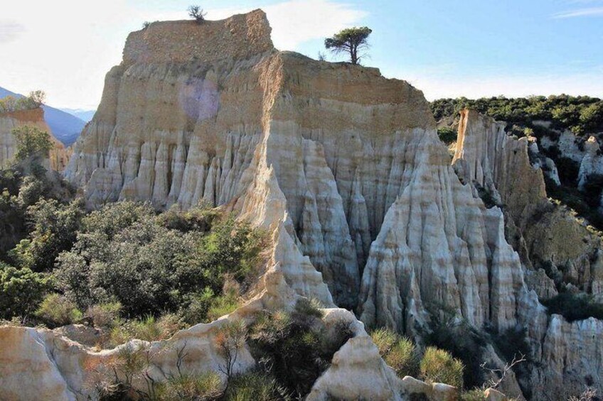 Wild Organs: Grand Landscape, Plants, Geology, Birdsongs