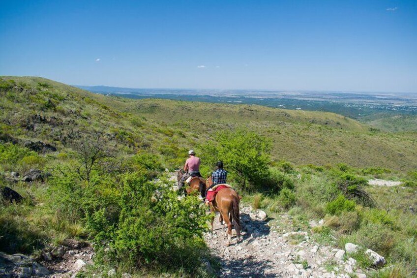 Horseback Riding In Cordoba