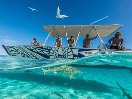 Polynesian Island Full-Day Tour