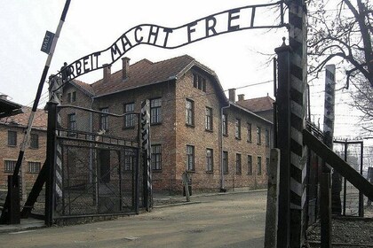 Katowice Auschwitz and Krakow Old Town Private Guided Tour
