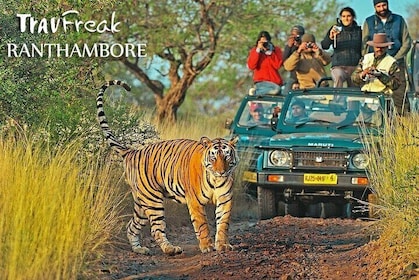 Private Tour to Ranthambore Tiger Reserve from Jaipur