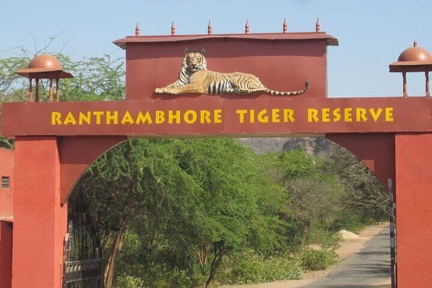 Private Tour to Ranthambore Tiger Reserve from Jaipur