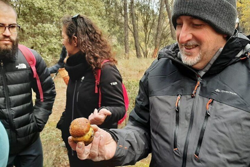 A participant who has just found a variety of Boletus