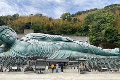 Fukuoka Nature and Cultural Sightseeing Tour