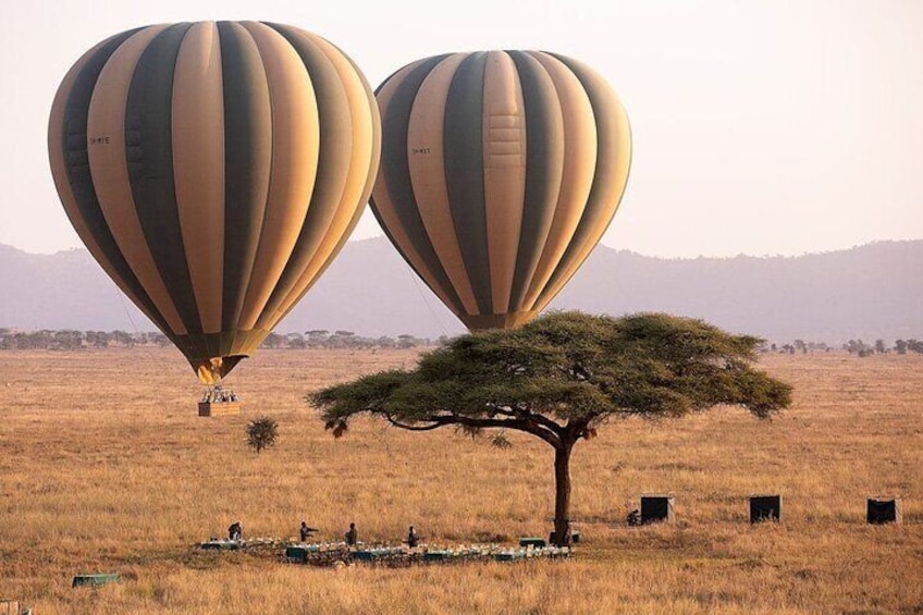 SERENGETI BALLOON SAFARI - WITH- BURIGI CHATO SAFARIS