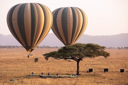 Extraordinary Hot air Bolloon ride in Serengeti | BURIGI CHATO SAFARIS CO L...