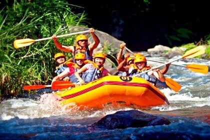Ubud Ayung Water Rafting, Swing and Coffee Plantaion Visiting