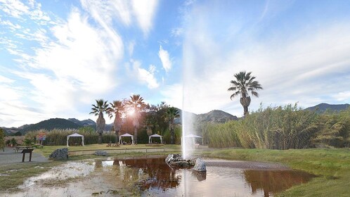 Old Faithful Geyser of California