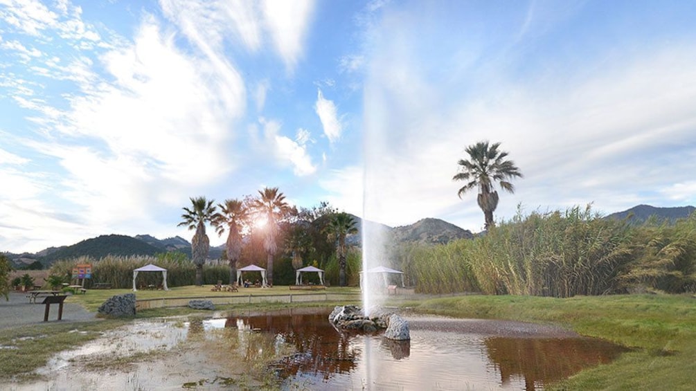 Beautiful view of the Old Faithful Geyser of California