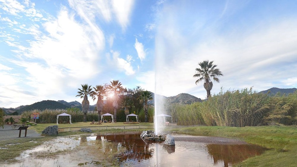 Beautiful view of the Old Faithful Geyser of California 