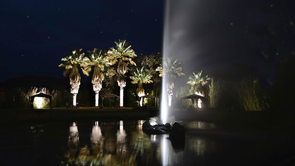 Night view of the Old Faithful Geyser of California