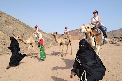 Hurghada Desert Safari: Jeep, Quad Bike, Camel Ride & BBQ Dinner