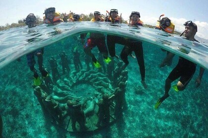 Sharing Snorkelling Trip Gili islands Depart Lombok/Gili Trawangan