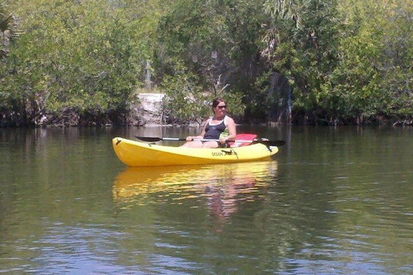 One Single Kayak Rental for 2 hours with Manatee & Dolphin sightings!