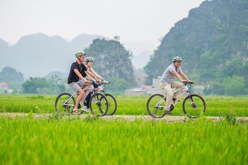 Ninh Binh, Hoa Lu,Tam Coc, Mua Cave Day Tour: Hiking mountain, boat trip, Biking