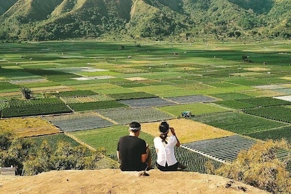 Sembalun Package.. (Special Rice Terrace View)