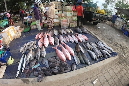 Fish & Traditional Market Package Visit