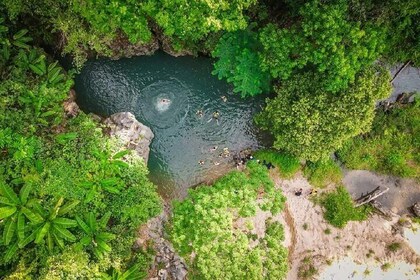 大象洞和马达河谷丛林迷航-1天