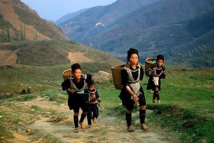 Sapa Private Car Tour - 1 Day Enjoy the Rice Terraced Fields