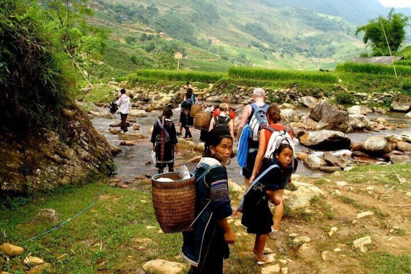 Sapa Private Car Tour - 1 Day Enjoy the Rice Terraced Fields