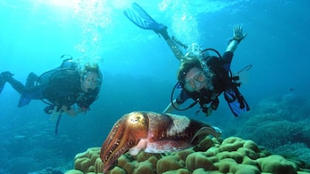 Discovering Scuba Diving in Marmaris