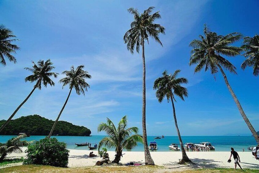 Angthong National Marine Park by Speed Boat with Snorkeling & Kayaking