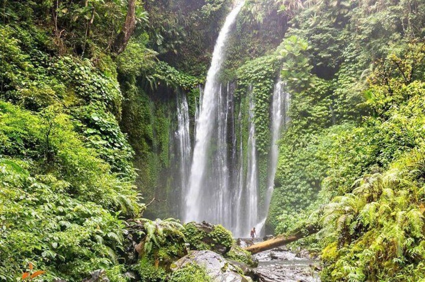 Sendang Gile and Tiu Kelep Waterfall Tour - Private Day Tour