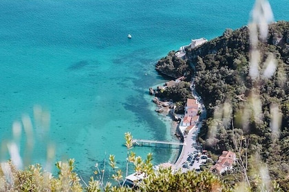  Tour de cata de vinos, naturaleza y playas de Arrábida y Sesimbra