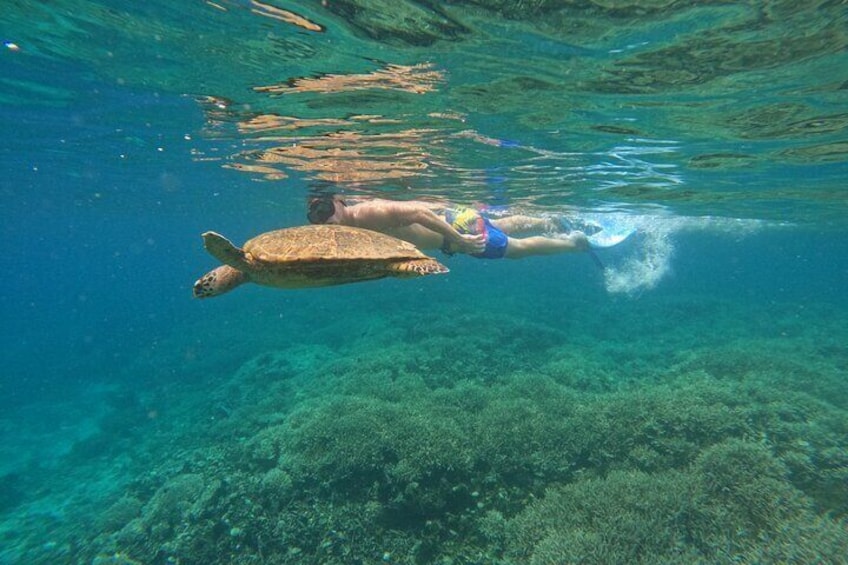 Private Snorkeling Gili Island (Coral, Statue and Turtle) 