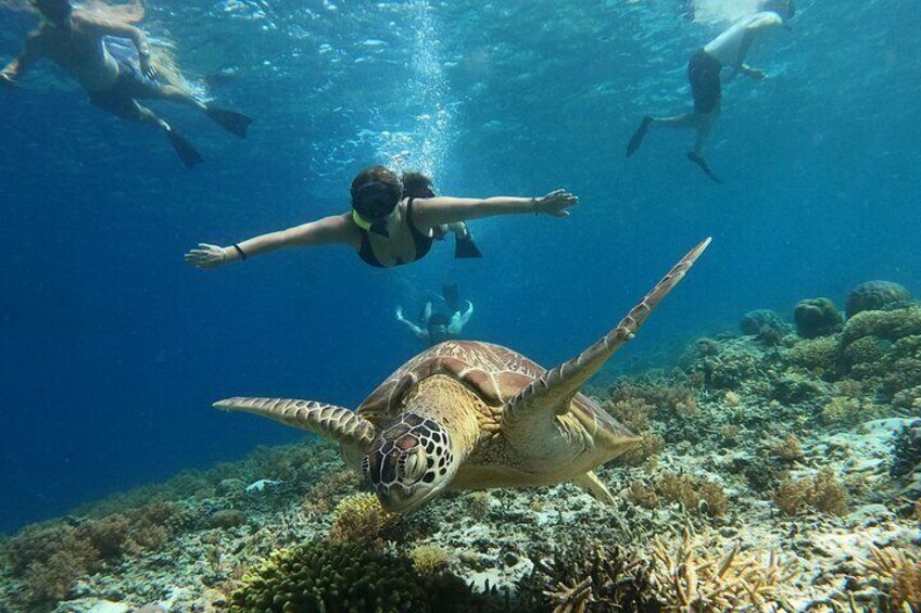 Private Snorkeling Gili Island (Coral, Statue and Turtle) 