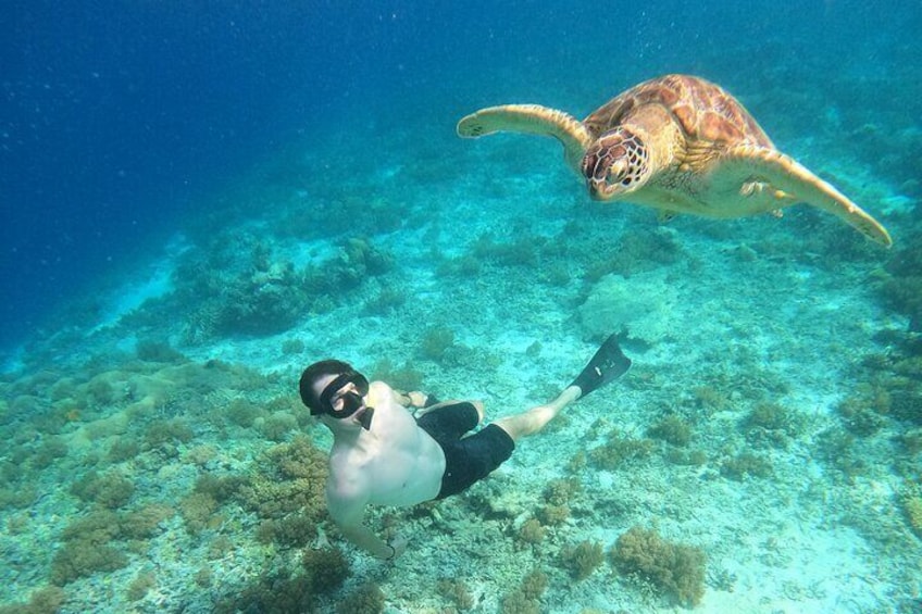 Private Snorkeling Gili Island (Coral, Statue and Turtle) 