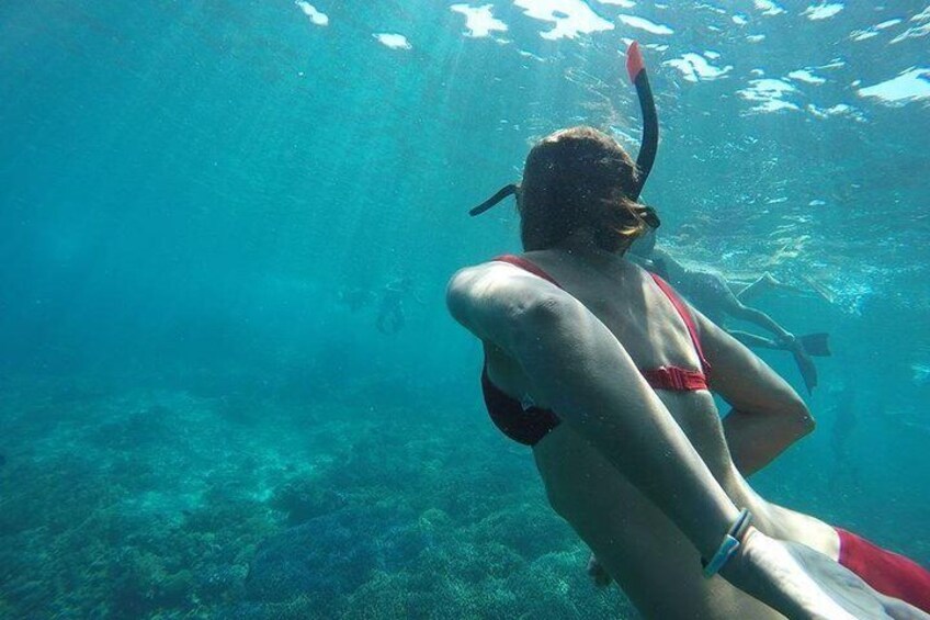 Snorkeling (Depart Gili T),Gili Trawangan, Gili Meno,