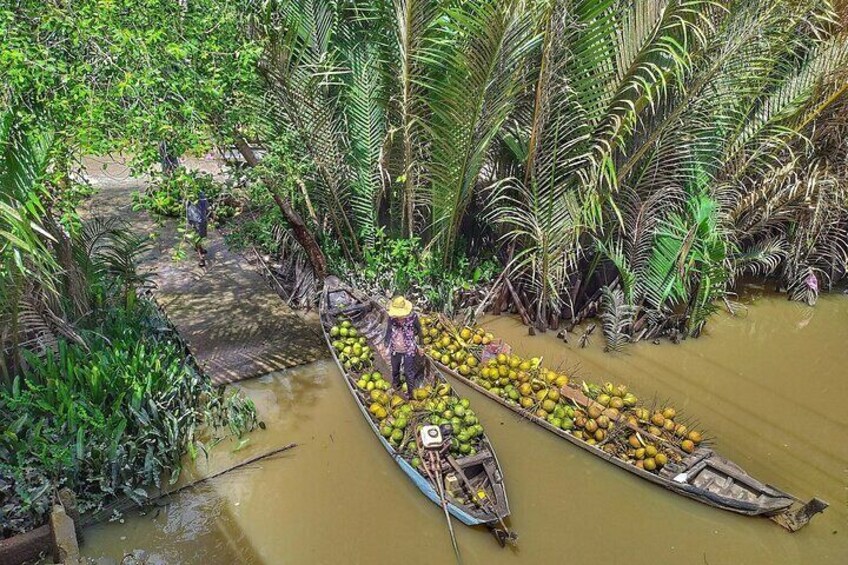 Experience how local farmers collect coconuts.