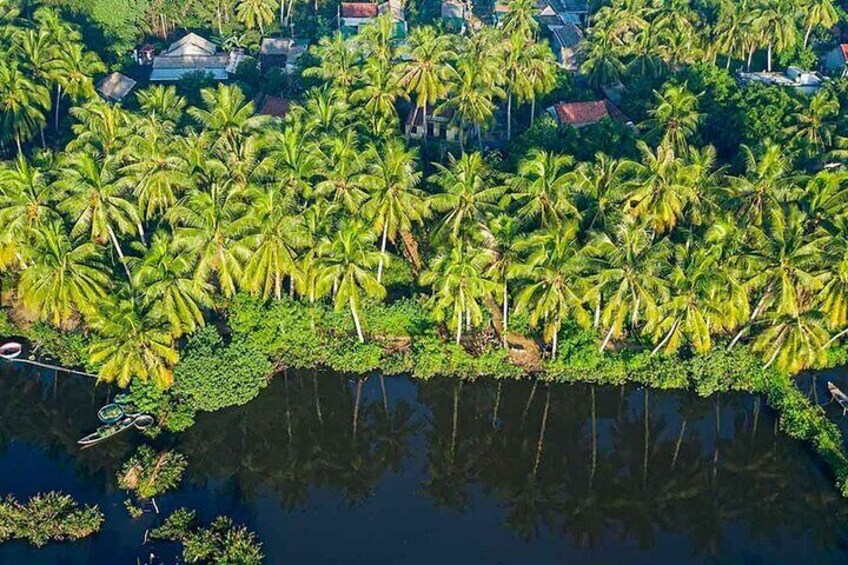 Ben Tre, Vietnam's coconut capital, is famous for its vast coconut groves.