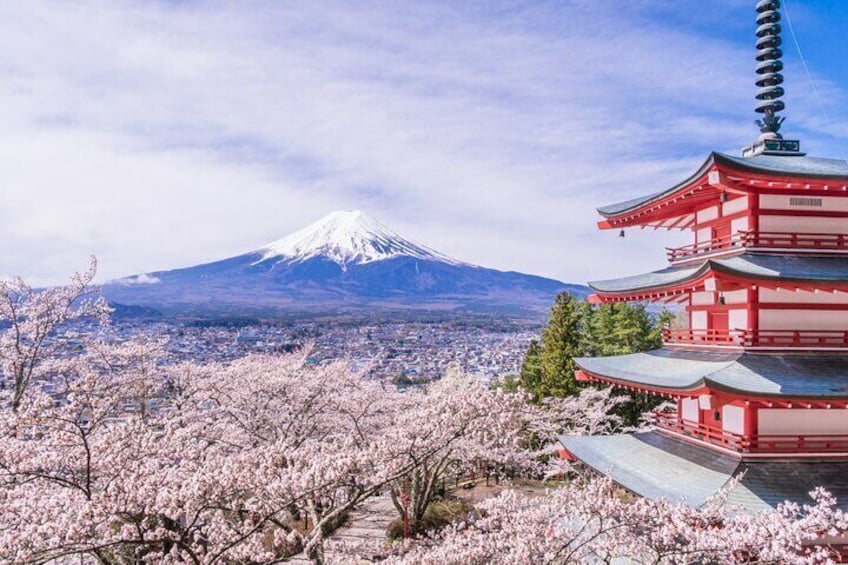 Private Mt. Fuji customize Tour with Bilingual driver