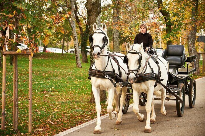 Carriage ride