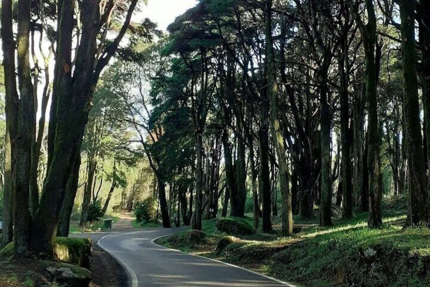 A trip to the village of Sintra, with entry to 2 palaces!