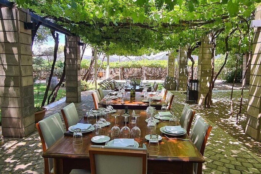 Mendoza Wineries Maipu Lujan Uco Valley