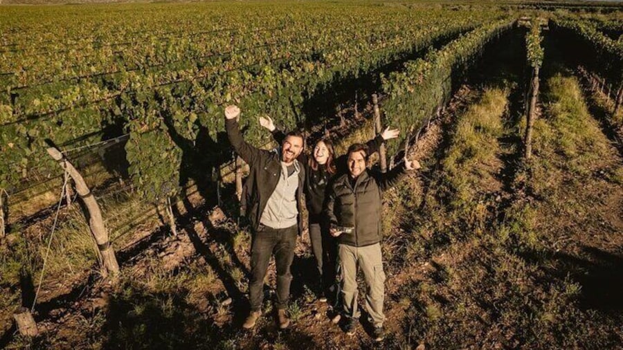 Uco Valley: Guided tours with tastings included