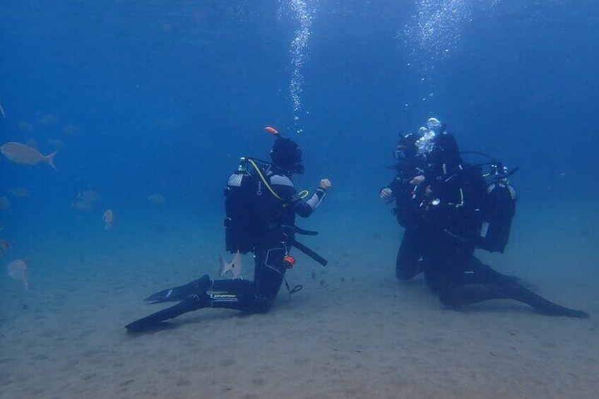 Confined Open Water Training