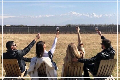Private Transfer + Lujan de Cuyo Vinicolas / Maipu