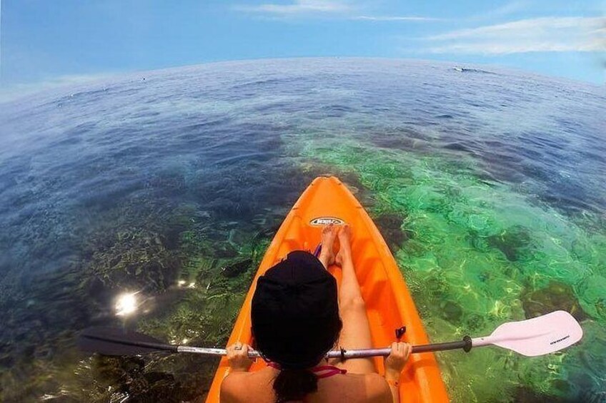 Mangroves Kayaking with Pickup & Drop Off