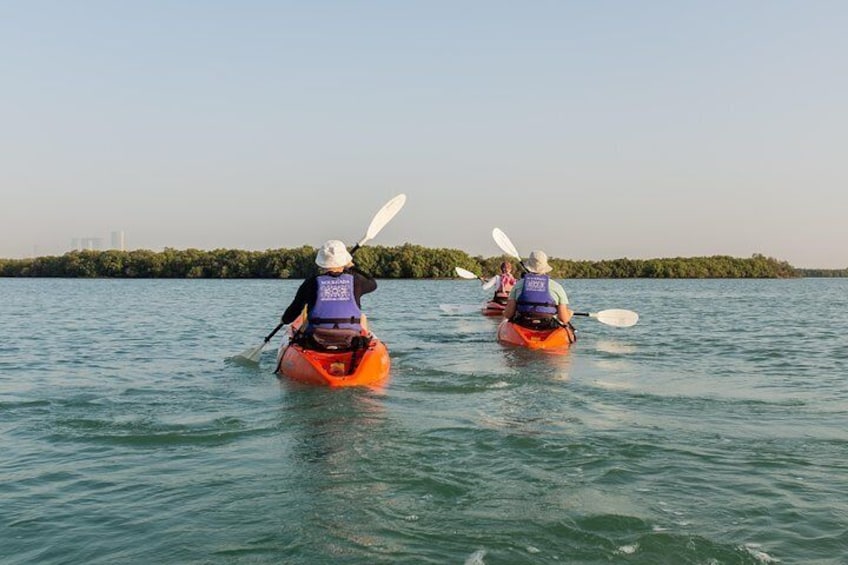 Mangroves Kayaking with Pickup & Drop Off