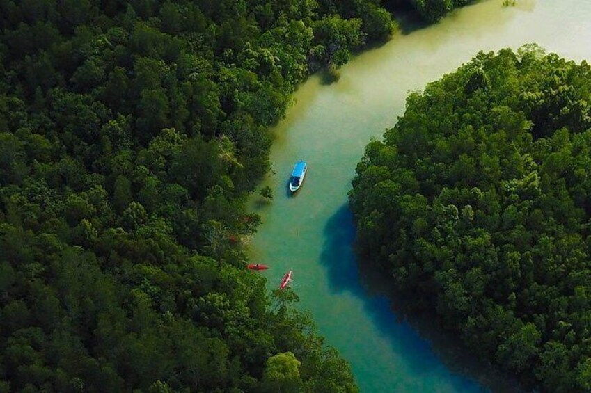 Eco-Mangrove Boat Cruises